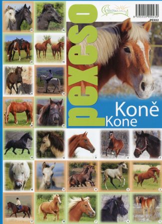 Pexeso Kone